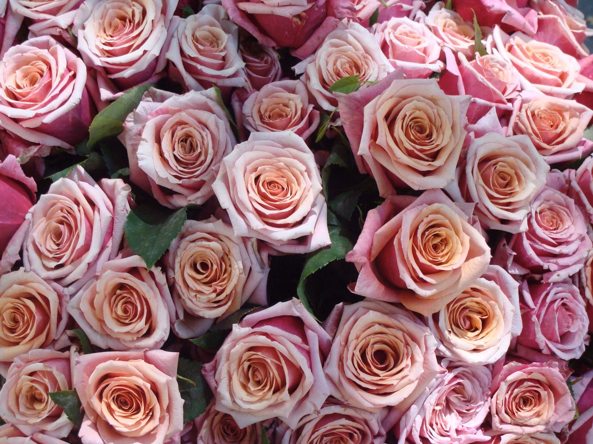 Flores en el mercado de Place Monge en París