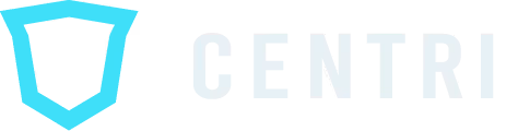 Blue Team logo